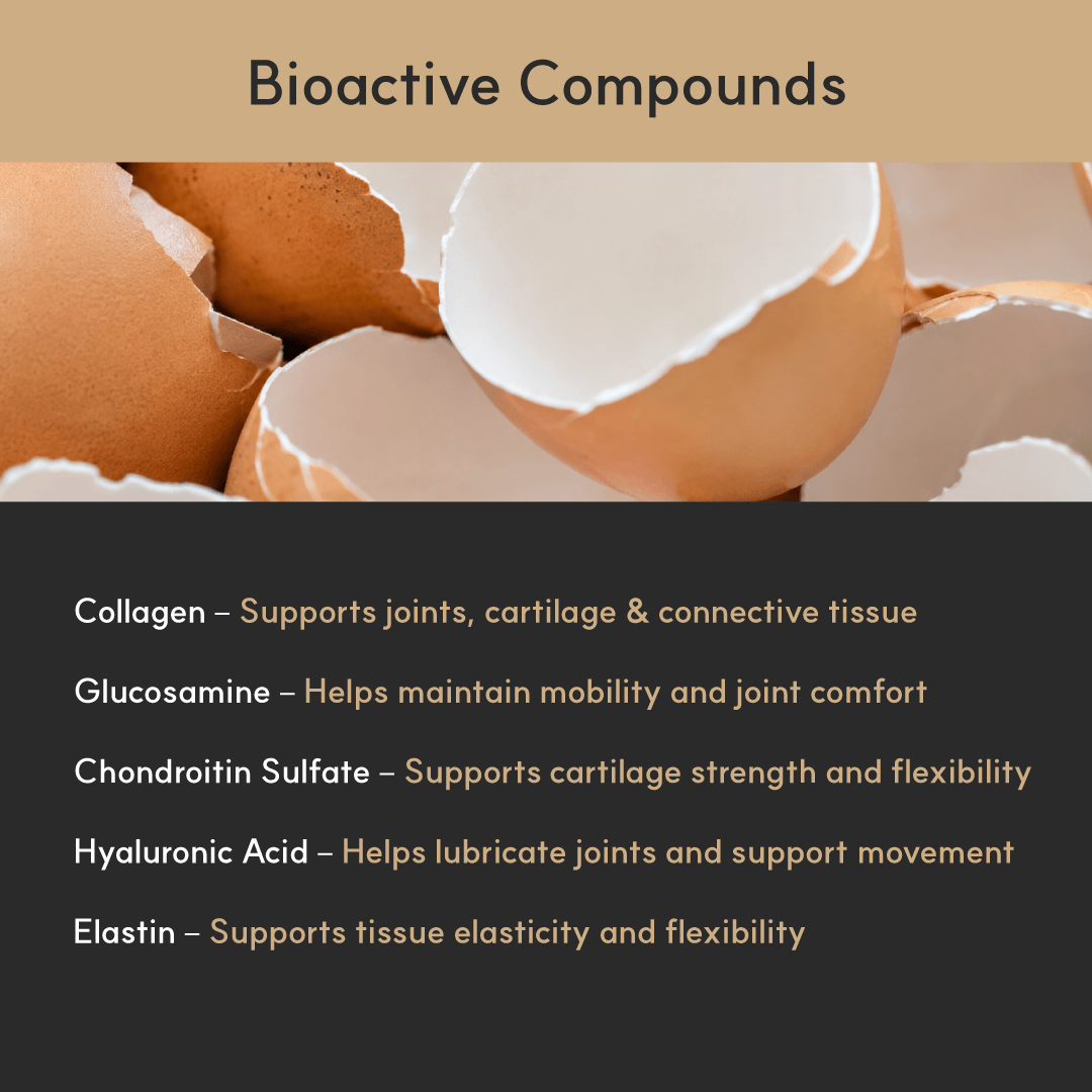 Eggshells with text about bioactive compounds and their functions.