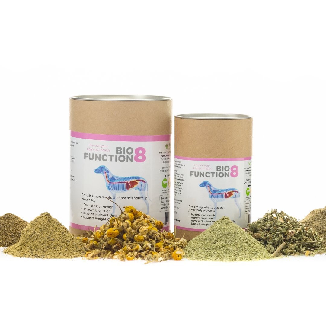BioFunction 8 | Improve Your Dog's Gut Health Naturally