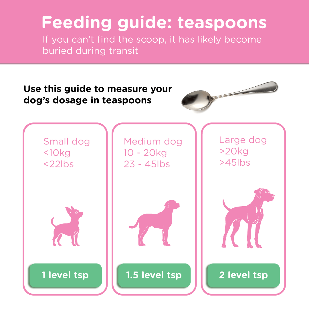 BioFunction8 | Promote Dogs' Gut Health Naturally - Seaweed For Dogs