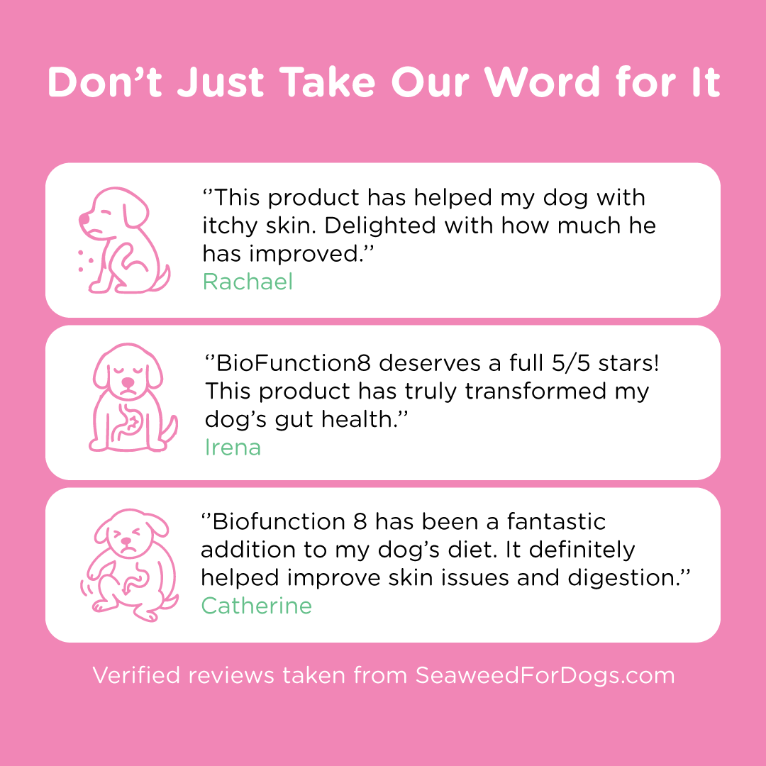 BioFunction8 | Promote Dogs' Gut Health Naturally - Seaweed For Dogs