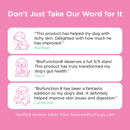 BioFunction8 | Promote Dogs' Gut Health Naturally - Seaweed For Dogs