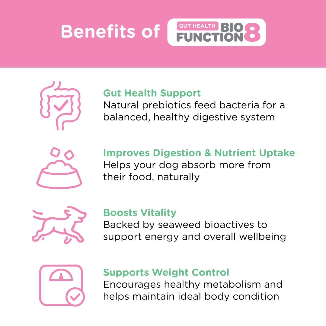 BioFunction8 | Promote Dogs' Gut Health Naturally - Seaweed For Dogs