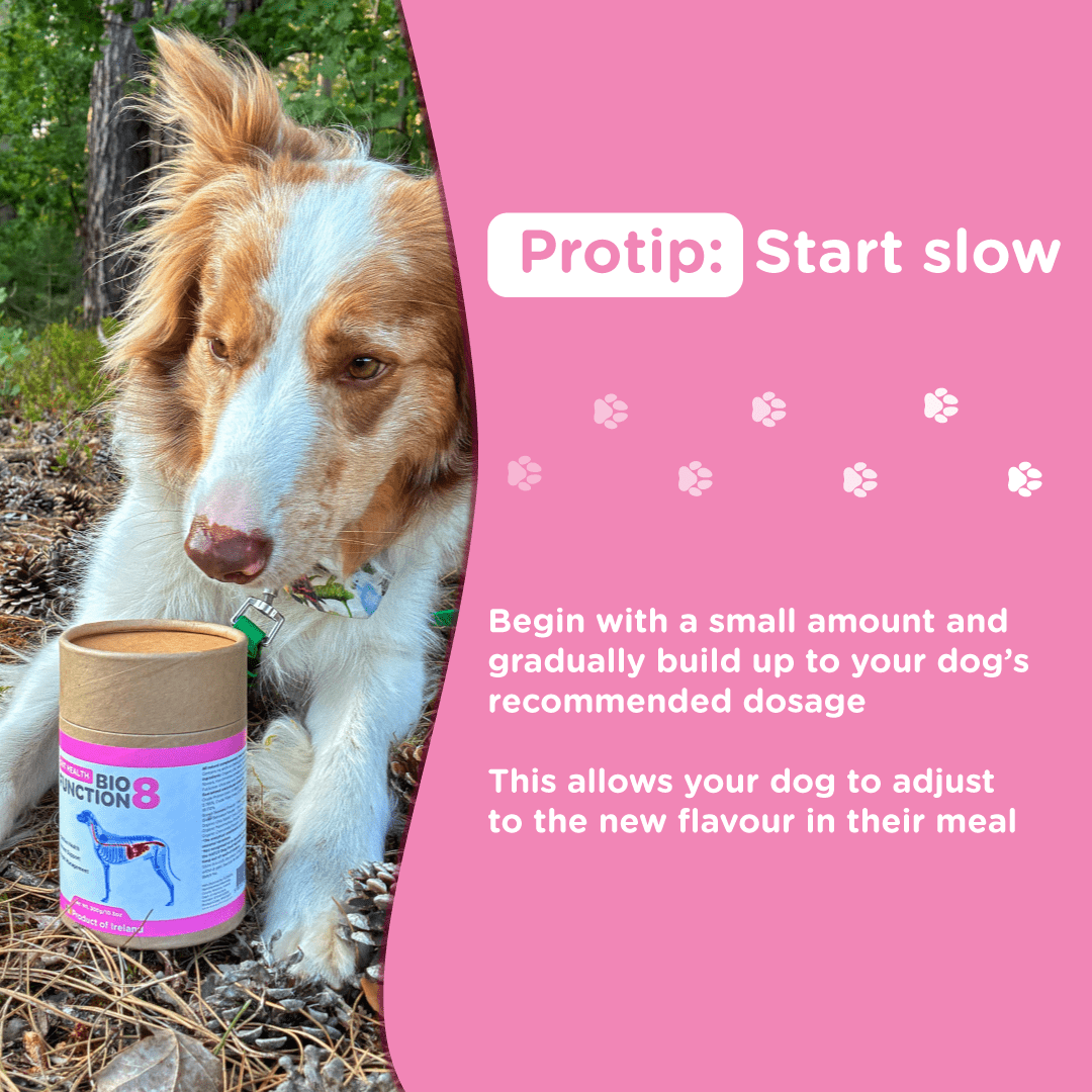BioFunction8 | Promote Dogs' Gut Health Naturally - Seaweed For Dogs