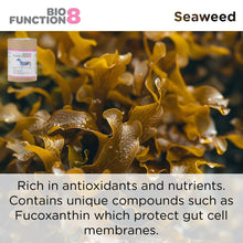 Load image into Gallery viewer, BioFunction8 | Promote Dogs&#39; Gut Health Naturally - Seaweed For Dogs