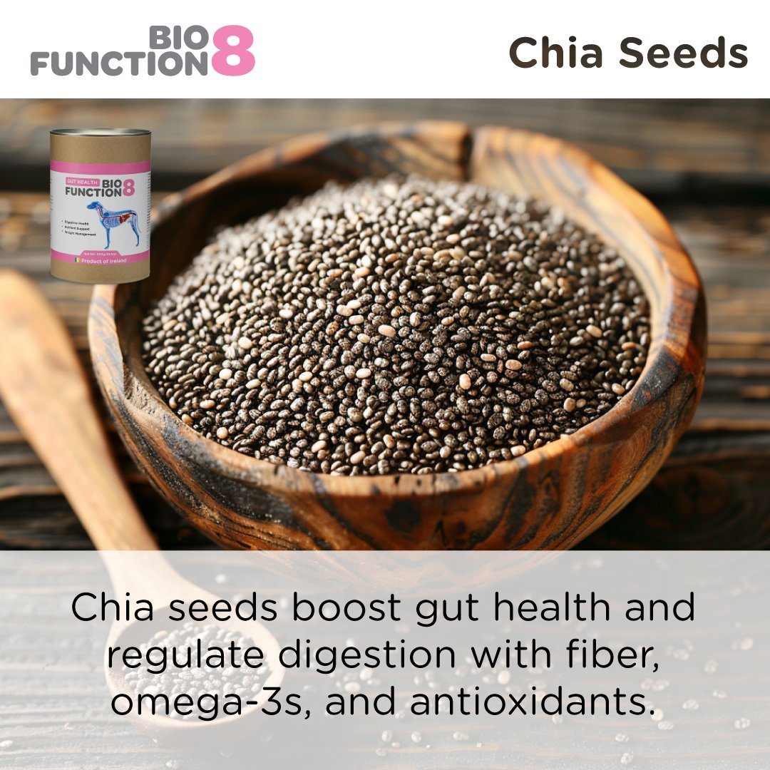 BioFunction8 | Promote Dogs' Gut Health Naturally - Seaweed For Dogs