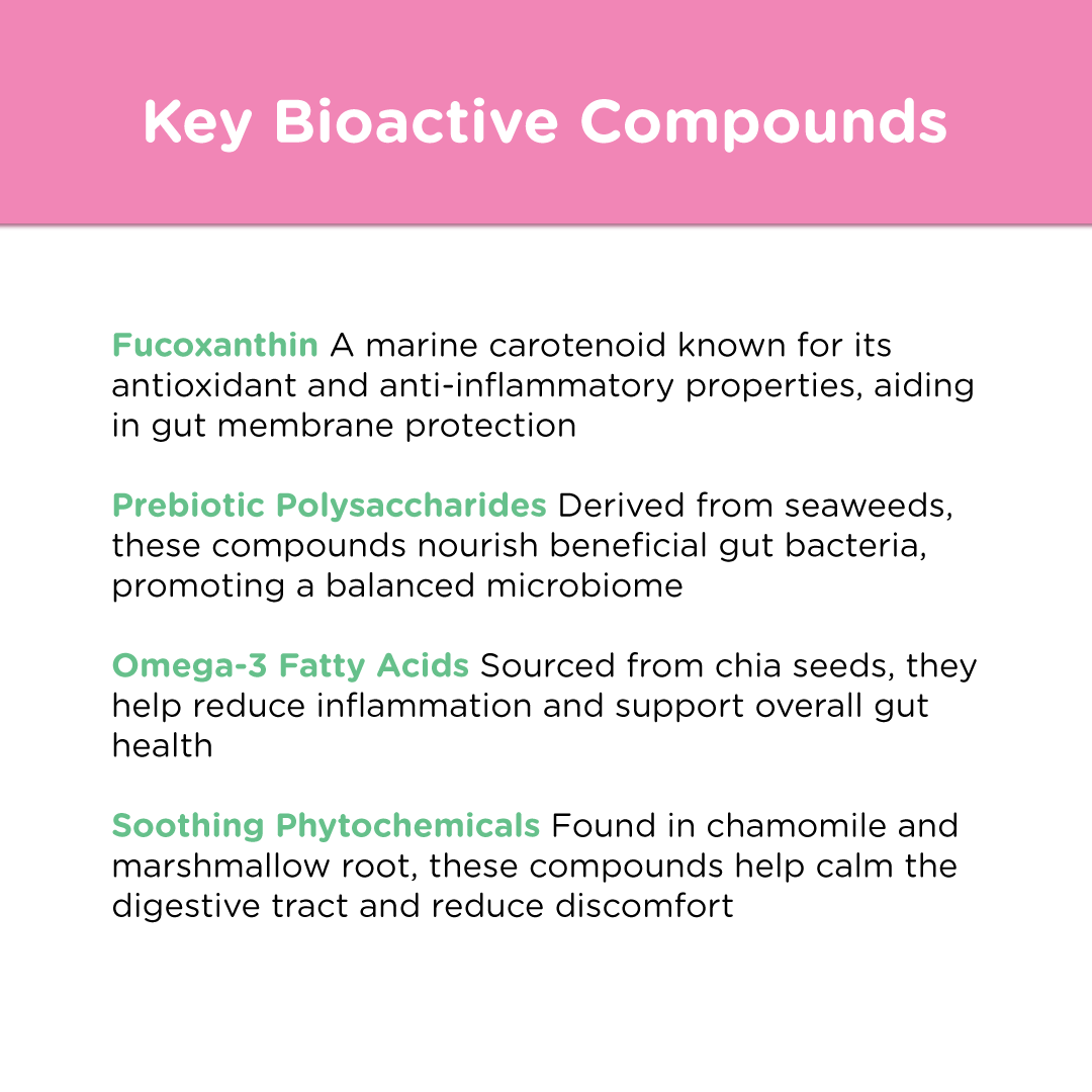 BioFunction8 | Promote Dogs' Gut Health Naturally - Seaweed For Dogs