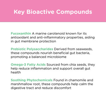 BioFunction8 | Promote Dogs' Gut Health Naturally - Seaweed For Dogs