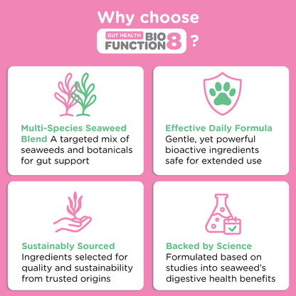 BioFunction8 | Promote Dogs' Gut Health Naturally - Seaweed For Dogs
