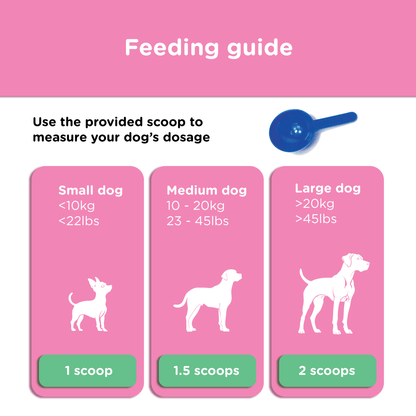 BioFunction8 | Promote Dogs' Gut Health Naturally - Seaweed For Dogs