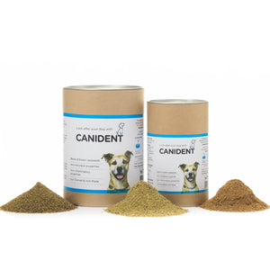 Canident - Clean Dogs Teeth, Fix Bad Breath and Remove Plaque - Seaweed For Dogs