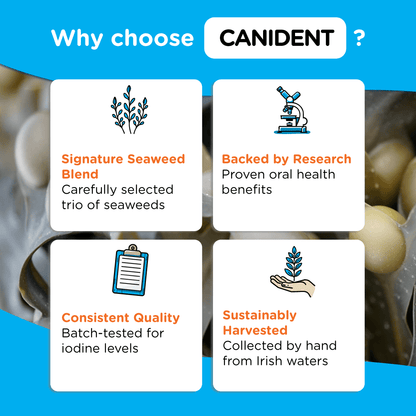 Infographic listing Canident’s key qualities: seaweed blend, research-backed, consistent quality, and sustainable sourcing