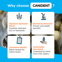 Load image into Gallery viewer, Canident - Clean Dogs Teeth, Fix Bad Breath and Remove Plaque - Seaweed For Dogs