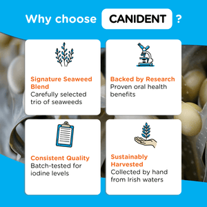 Canident - Clean Dogs Teeth, Fix Bad Breath and Remove Plaque - Seaweed For Dogs