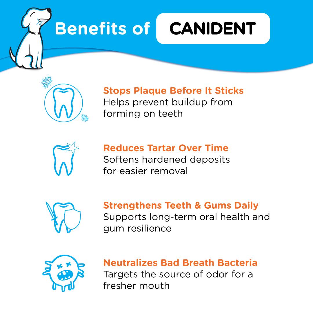 Infographic listing Canident's dental benefits for dogs: prevents plaque, reduces tartar, strengthens gums, and freshens breath