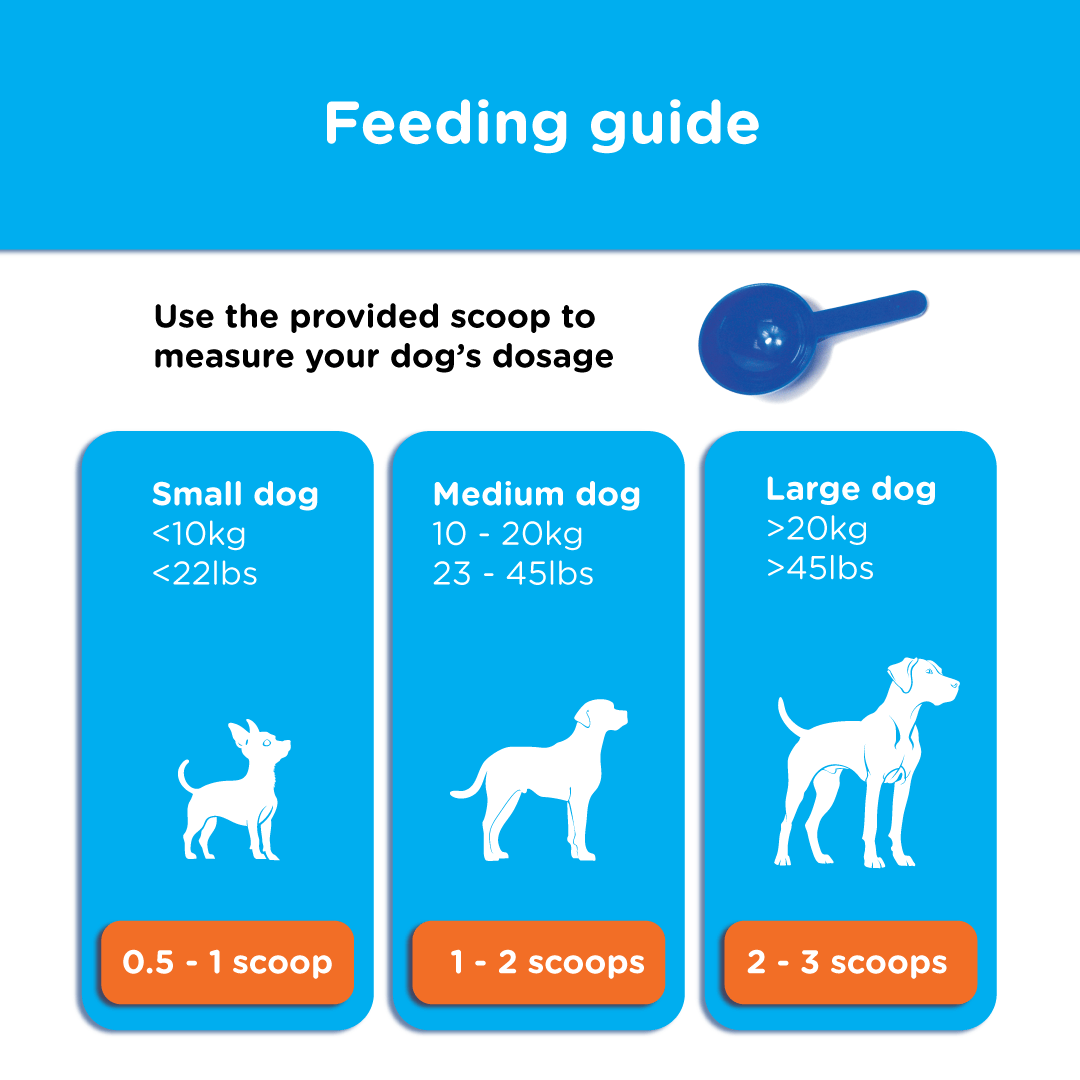 Feeding guide showing Canident dosage by dog size using a scoop: small, medium, and large dogs with scoop ranges