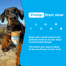 Load image into Gallery viewer, Canident - Clean Dogs Teeth, Fix Bad Breath and Remove Plaque - Seaweed For Dogs