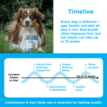 Load image into Gallery viewer, Canident - Clean Dogs Teeth, Fix Bad Breath and Remove Plaque - Seaweed For Dogs