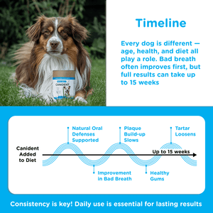 Canident - Clean Dogs Teeth, Fix Bad Breath and Remove Plaque - Seaweed For Dogs