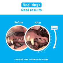 Load image into Gallery viewer, Canident - Clean Dogs Teeth, Fix Bad Breath and Remove Plaque - Seaweed For Dogs