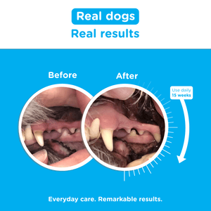 Canident - Clean Dogs Teeth, Fix Bad Breath and Remove Plaque - Seaweed For Dogs