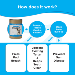 Canident - Clean Dogs Teeth, Fix Bad Breath and Remove Plaque - Seaweed For Dogs
