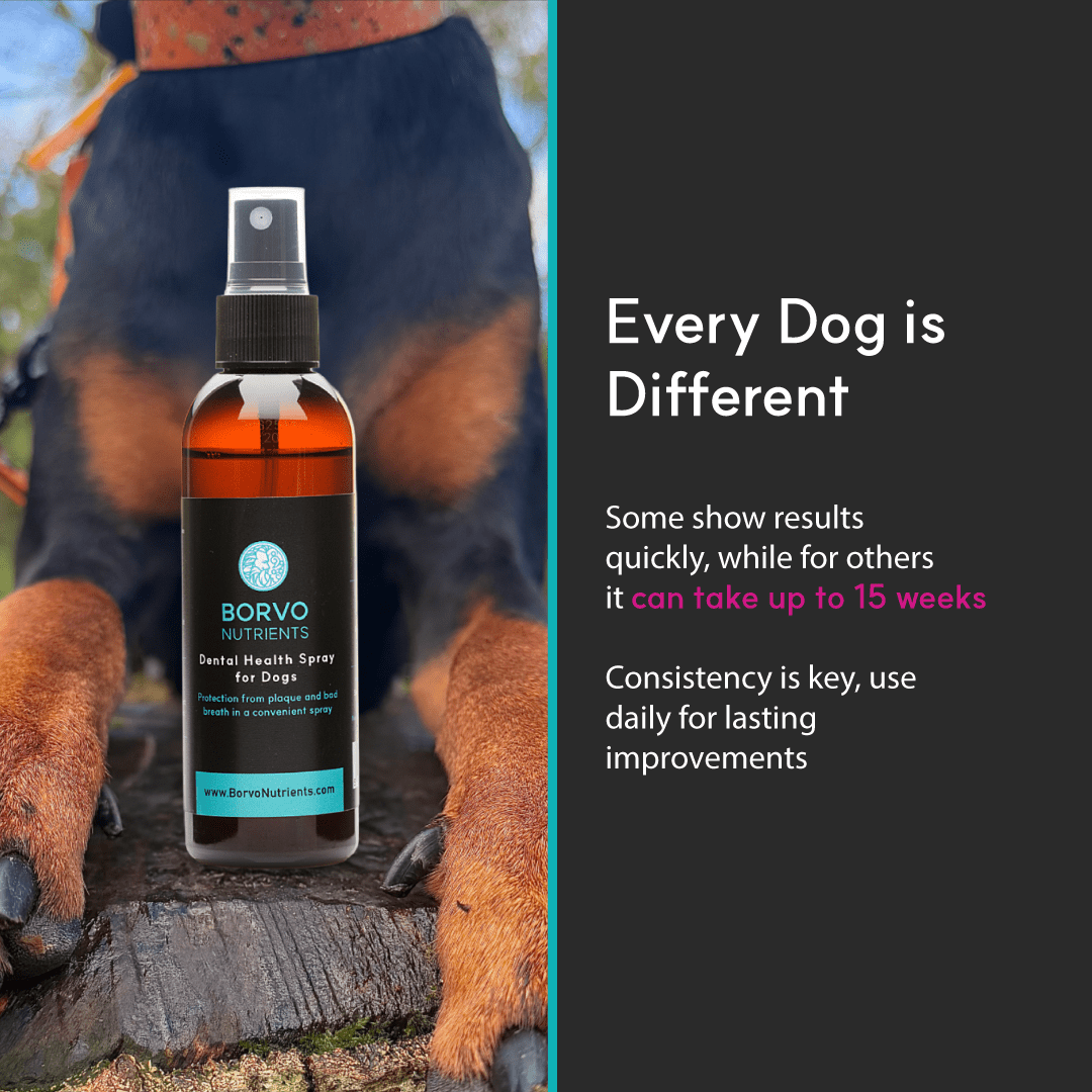 Dental Health Spray for Dogs - Seaweed For Dogs