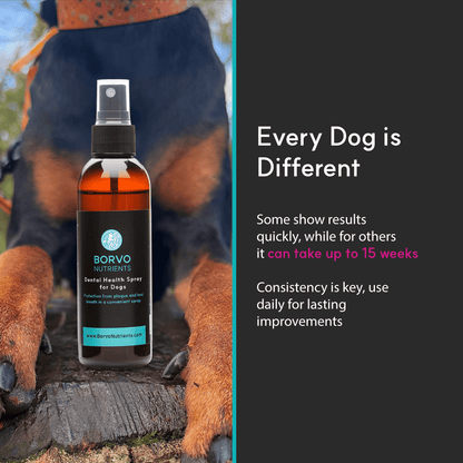 Dental Health Spray for Dogs - Seaweed For Dogs