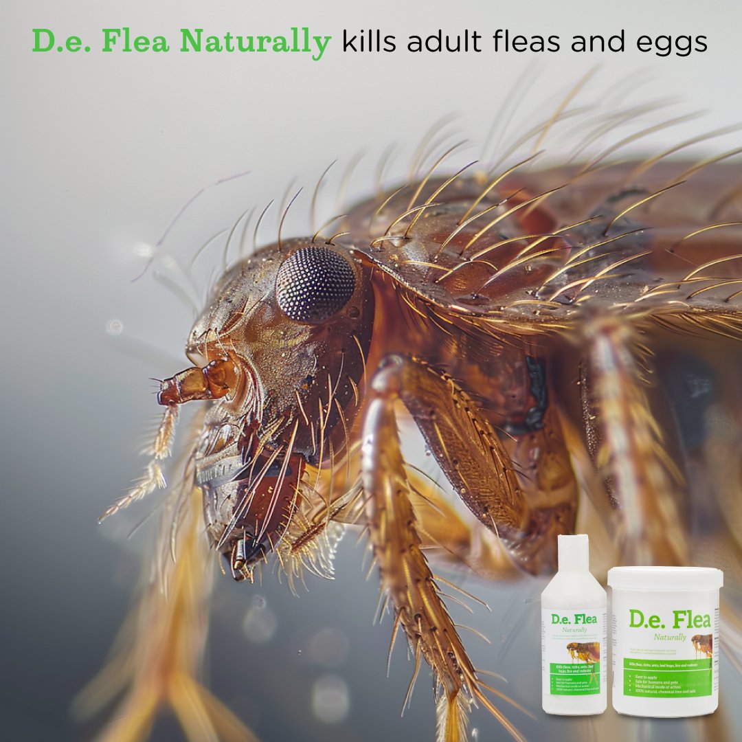D.E Flea Naturally - Safe Flea, Tick & Mite Killer For Dogs & Animals - Seaweed For Dogs