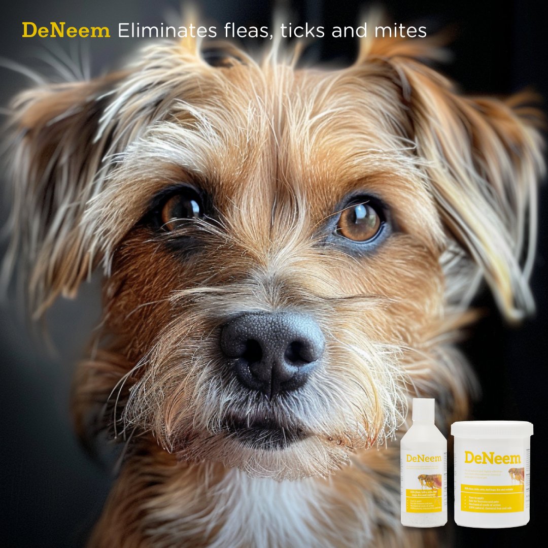 DeNeem | D.E and Organic neem powder - Seaweed For Dogs