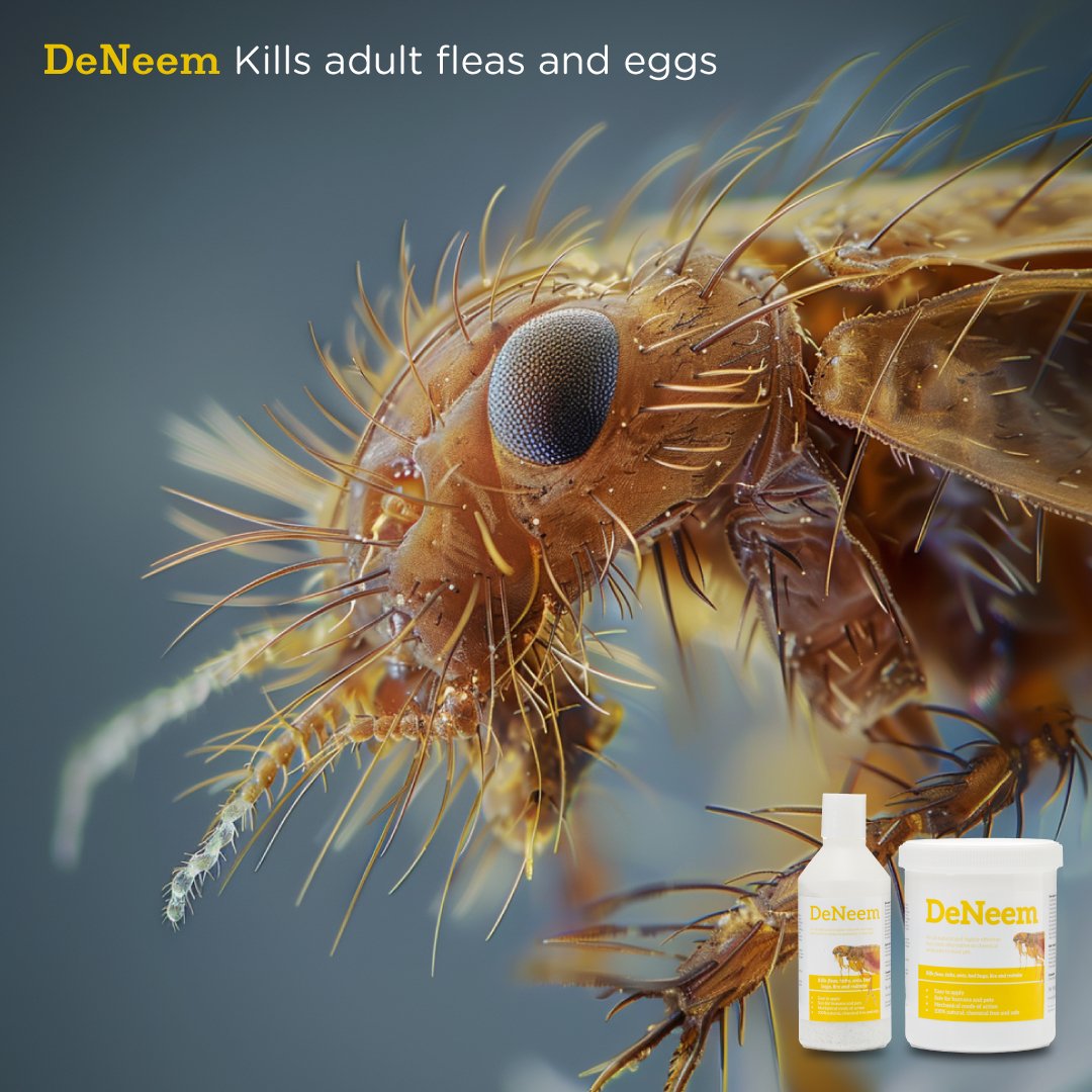 DeNeem | D.E and Organic neem powder - Seaweed For Dogs