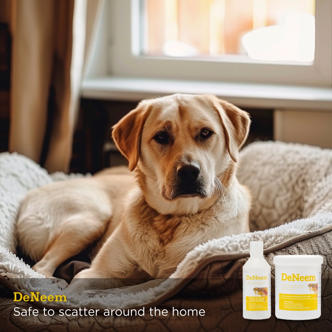 DeNeem | D.E and Organic neem powder - Seaweed For Dogs