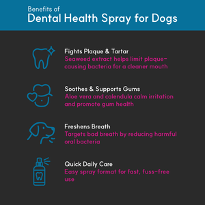 Dental Health Spray for dogs - Seaweed For Dogs