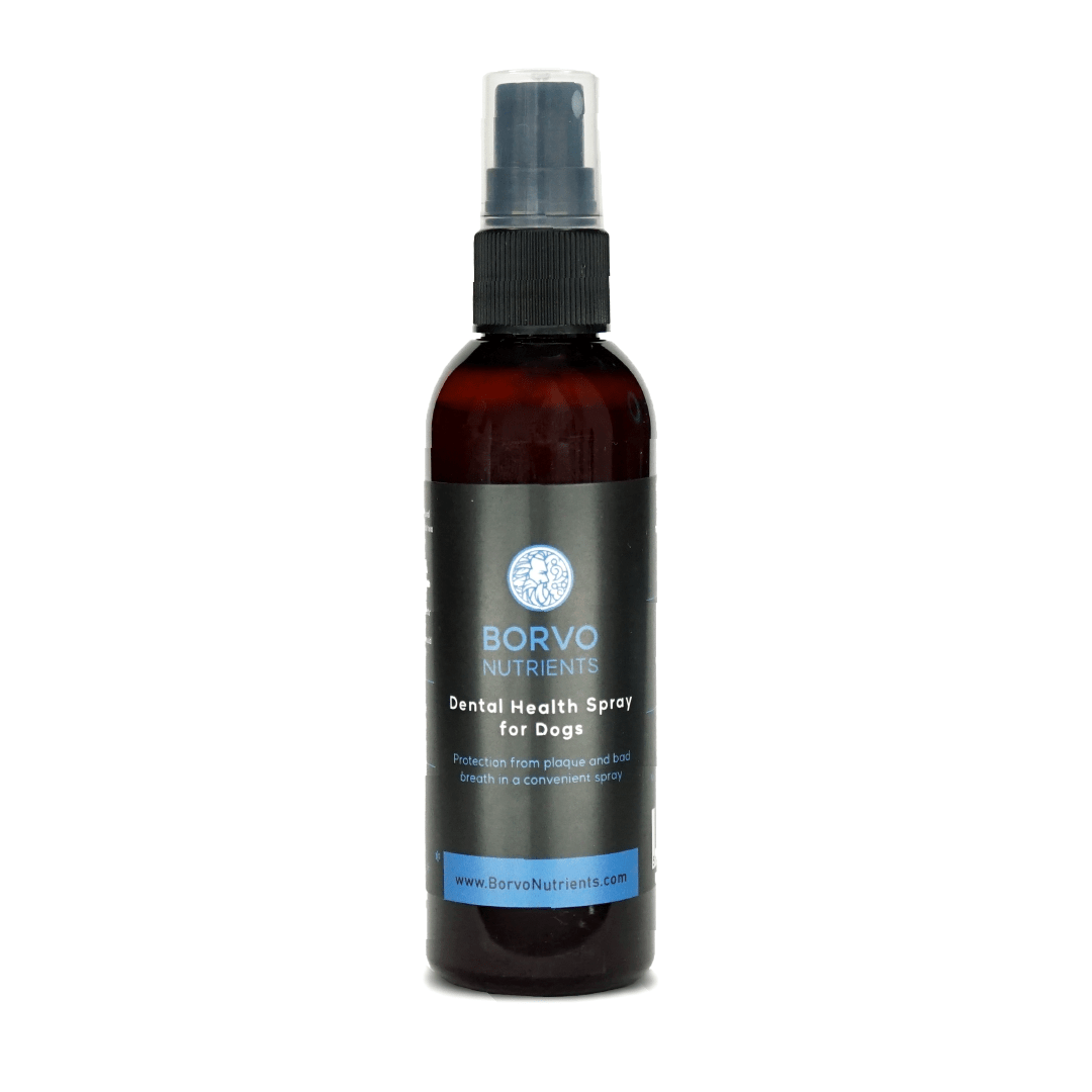 Dental Health Spray for dogs product photo