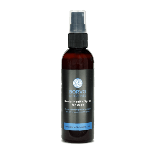 Dental Health Spray for dogs product photo