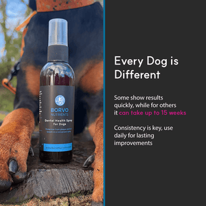 Dental Health Spray for dogs - Seaweed For Dogs