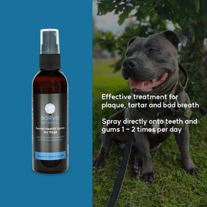 Dental Health Spray for dogs - Seaweed For Dogs