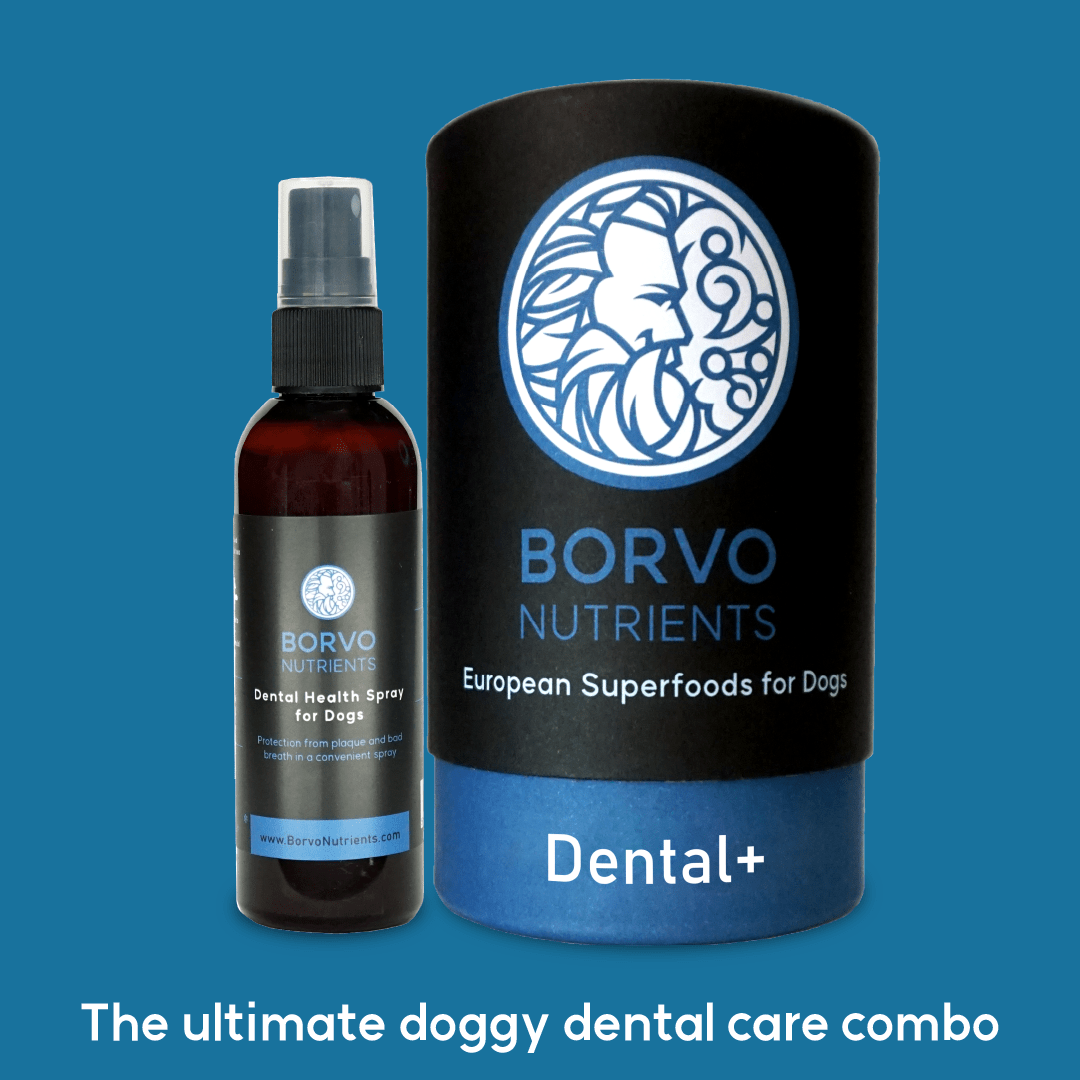 Dental Health Spray for dogs and Dental+ the ultimate dental health bundle