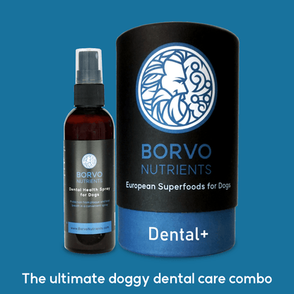 Dental Health Spray for dogs and Dental+ the ultimate dental health bundle