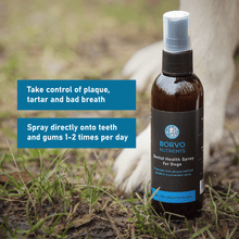 Load image into Gallery viewer, Dental Health Spray for dogs - Seaweed For Dogs