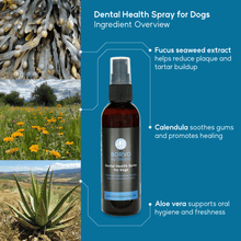 Load image into Gallery viewer, Dental Health Spray for dogs - Seaweed For Dogs