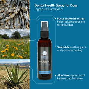 Dental Health Spray for dogs - Seaweed For Dogs