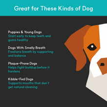 Load image into Gallery viewer, Dental + | Stop bad breath, prevent plaque and remove tartar - Seaweed For Dogs