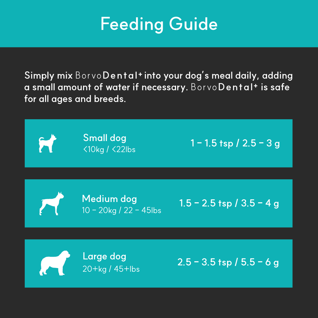 Dental + | Stop bad breath, prevent plaque and remove tartar - Seaweed For Dogs