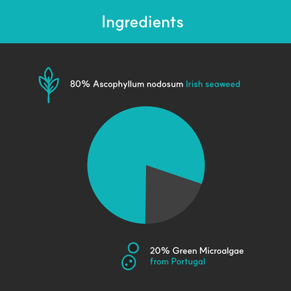 Dental + | Stop bad breath, prevent plaque and remove tartar - Seaweed For Dogs