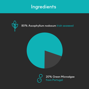 Dental + | Stop bad breath, prevent plaque and remove tartar - Seaweed For Dogs