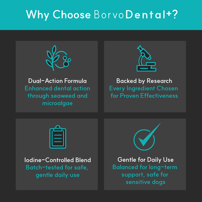 Dental + | Stop bad breath, prevent plaque and remove tartar - Seaweed For Dogs