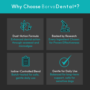 Dental + | Stop bad breath, prevent plaque and remove tartar - Seaweed For Dogs