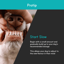 Load image into Gallery viewer, Dental + | Stop bad breath, prevent plaque and remove tartar - Seaweed For Dogs