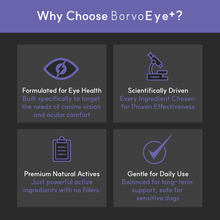 Afbeelding in Gallery-weergave laden, Eye + | Improve eye health in dogs - Seaweed For Dogs