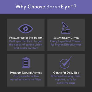 Eye + | Improve eye health in dogs - Seaweed For Dogs